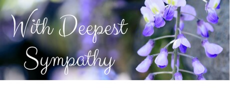 Beautiful Seasonal Flowers Banner